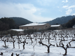 Clos Gautier sous la Neige